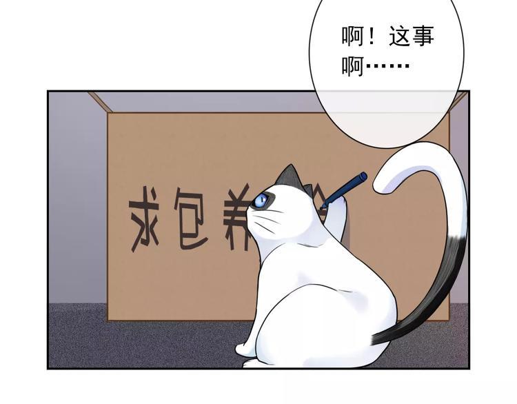 第89话 猫妖92