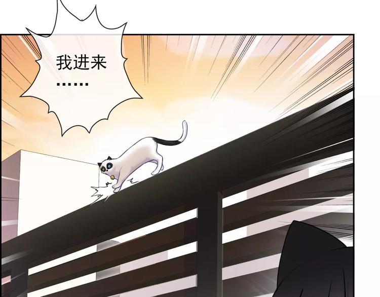 第89话 猫妖21