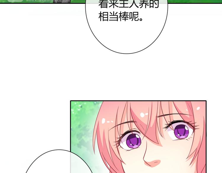 第27话 还不是为了逗你开心！94