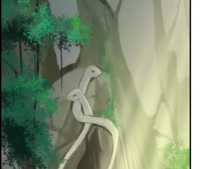 第41话 新娘登门4