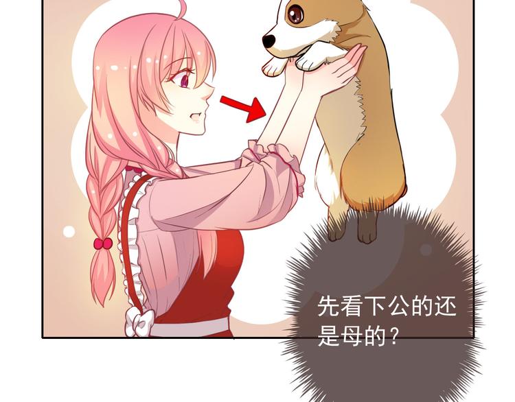 第47话 新宠50
