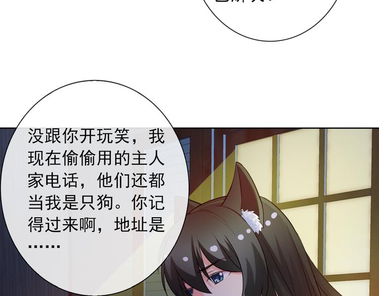第35话 这只狗快成精了吧！？77