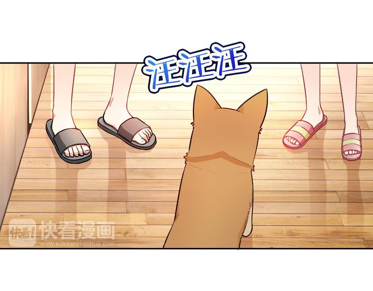 第47话 新宠33
