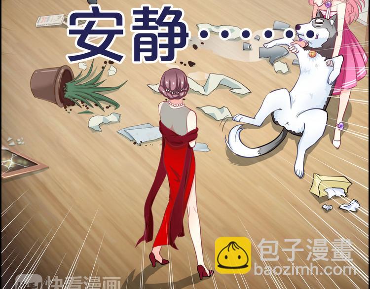第35话 这只狗快成精了吧！？31