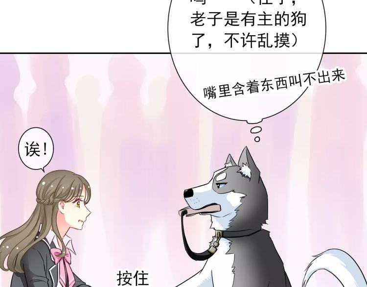 第85话 天狼星71