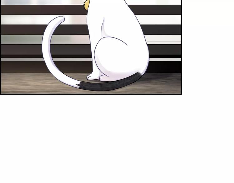 第89话 猫妖18