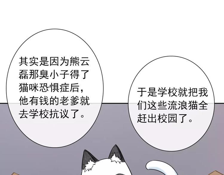 第89话 猫妖93