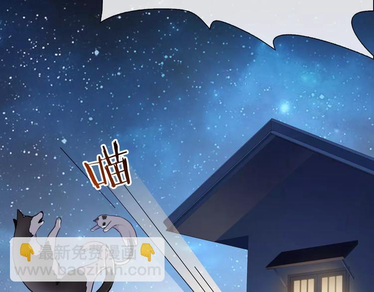 第89话 猫妖74