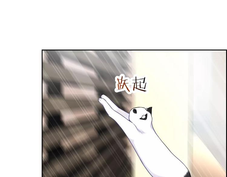 第89话 猫妖19