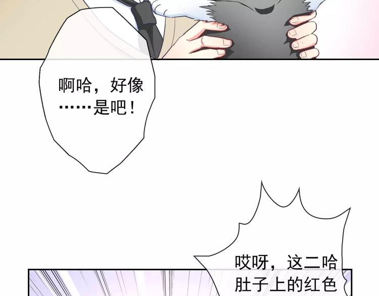 第63话 我是男的！12