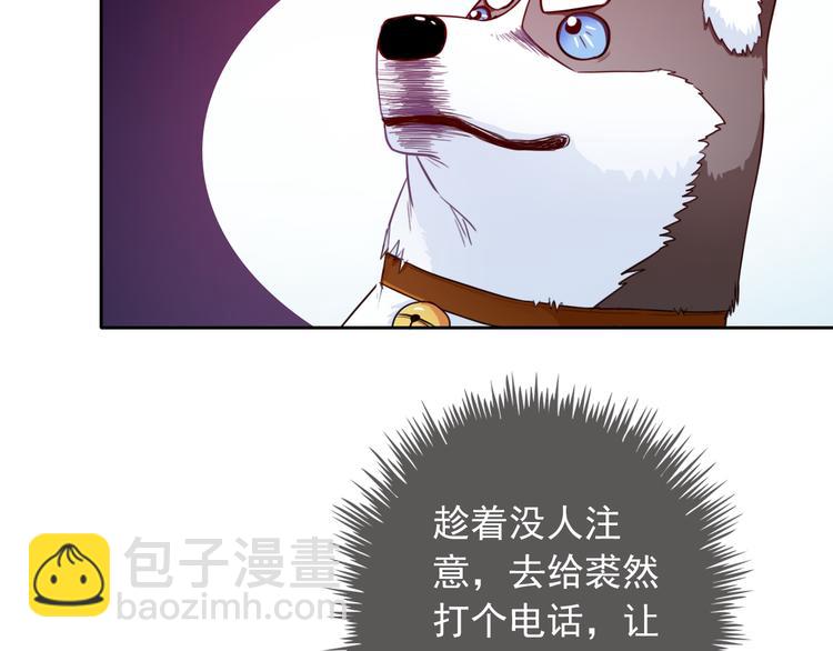 第35话 这只狗快成精了吧！？66