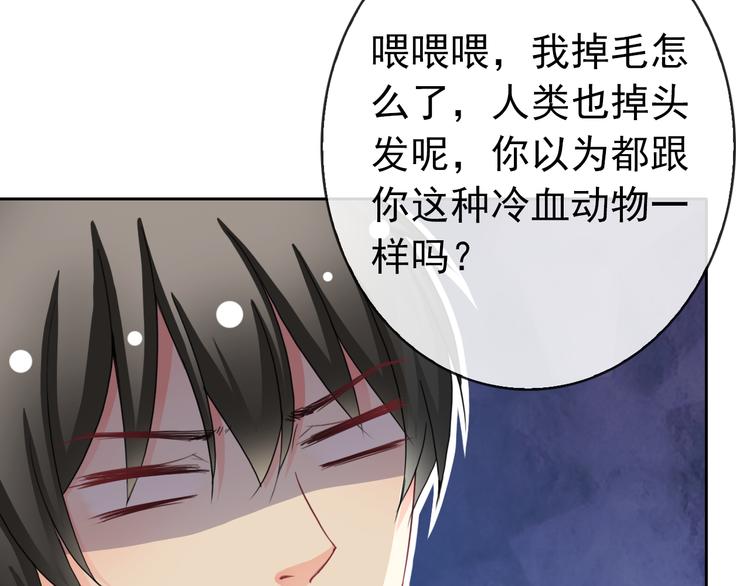 第87话 地毯52