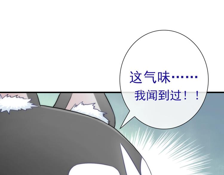 第30话 奇怪的爱好51