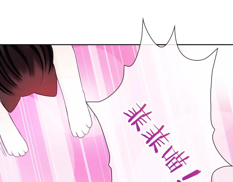 第75话 傻猫？蠢狗？45