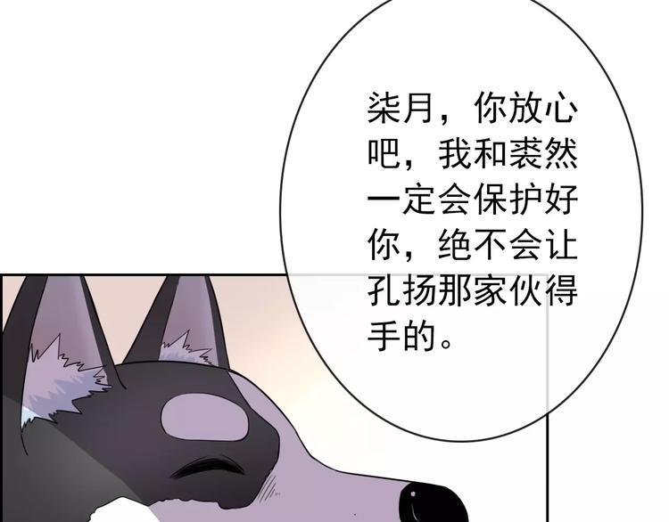 第87话 地毯13