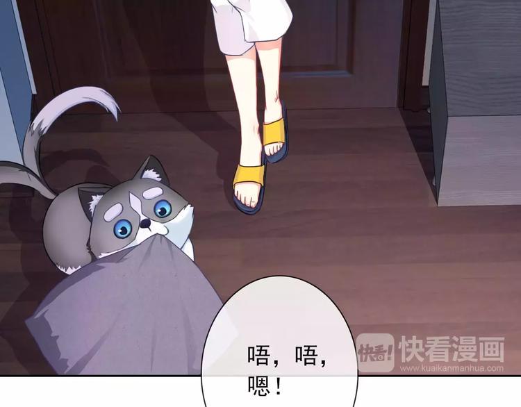 第83话 撸狗4