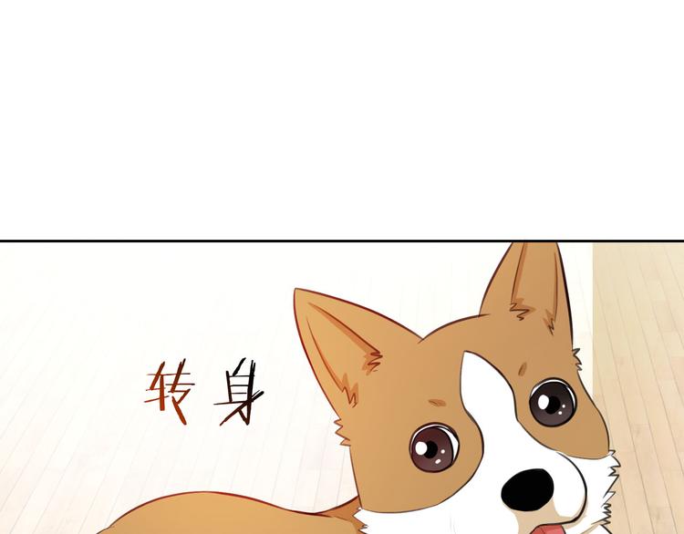 第47话 新宠28