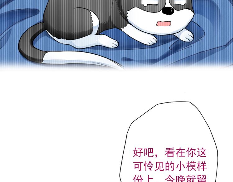 第23话 梦醒时分73