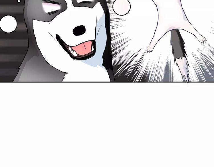 第89话 猫妖81