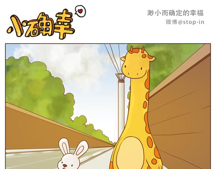 你是我的小兔子15