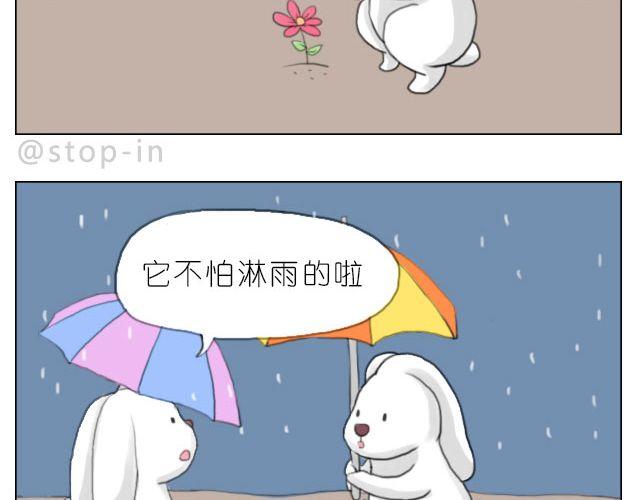 怕在你雨天会孤单11