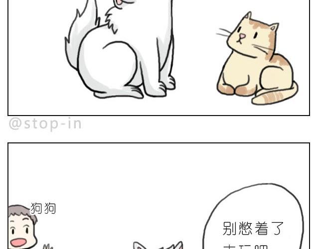 我最害怕的是再也找不到你了13