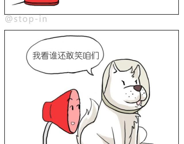 你胖不胖我说了算8