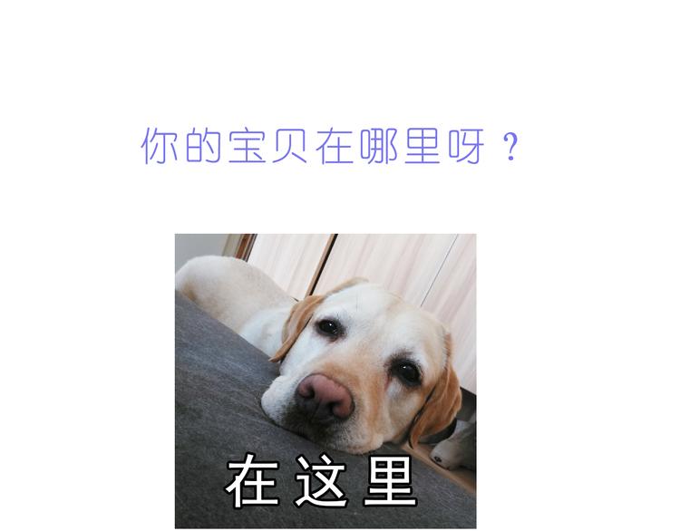 第220话 你的宝贝在这里23