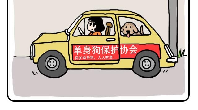 单身狗保护协会3