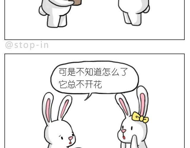 我喜欢陪伴你1