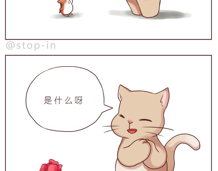 黑暗中的光6