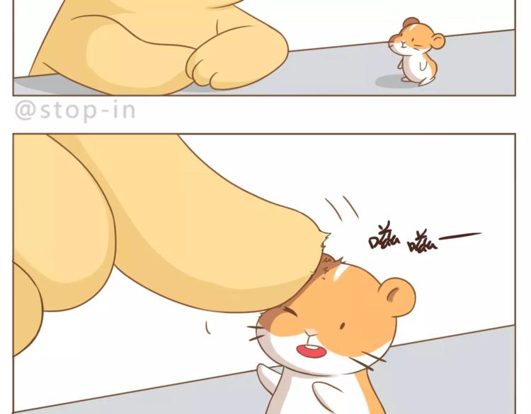 第179话 遇见你是我的幸运16