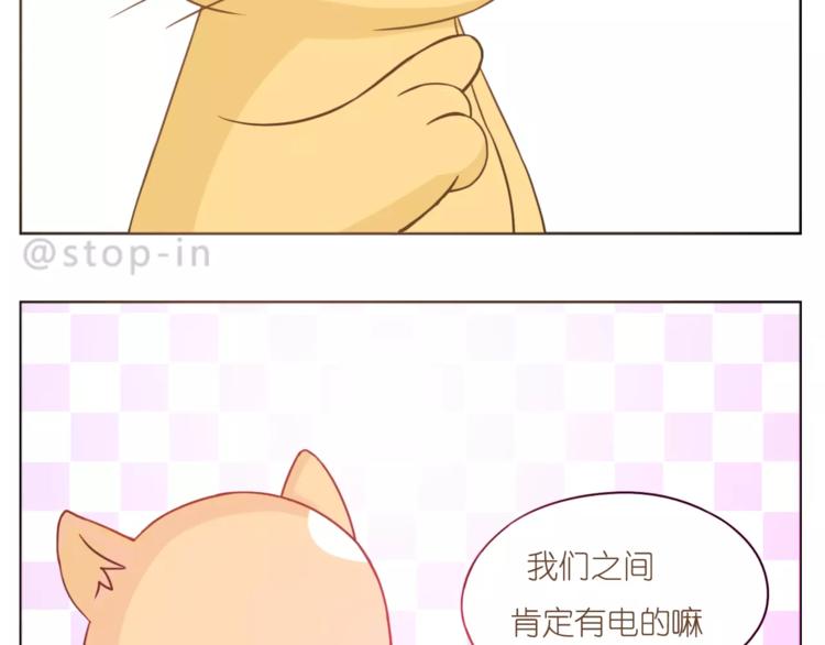 第179话 遇见你是我的幸运18