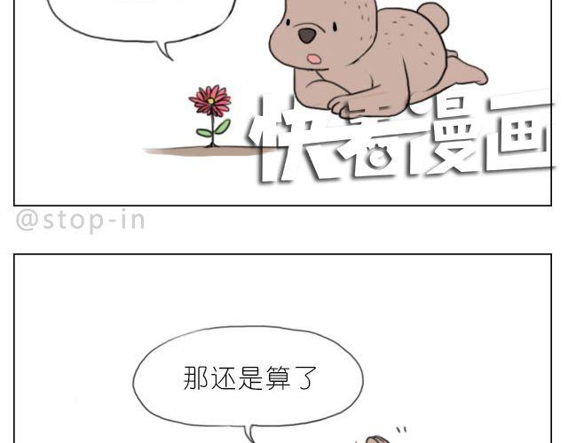 脸红的苹果18
