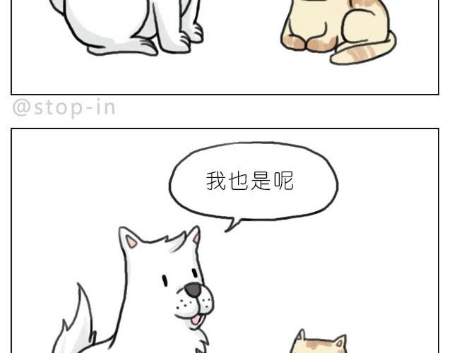 我最害怕的是再也找不到你了11
