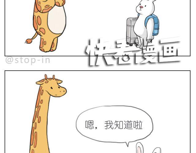 总会有一个人，再默默地等你12