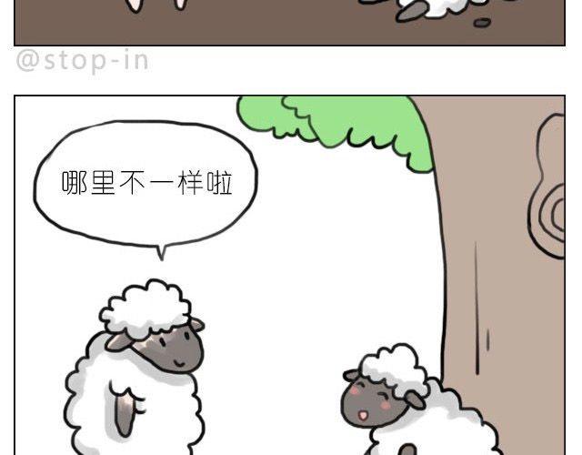 谁说我们不一样8