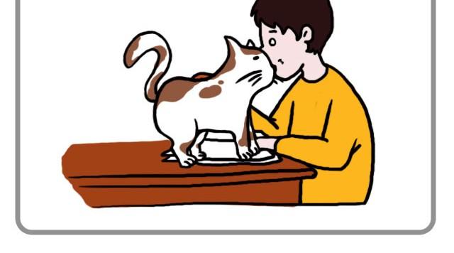 无处不在的小温暖3