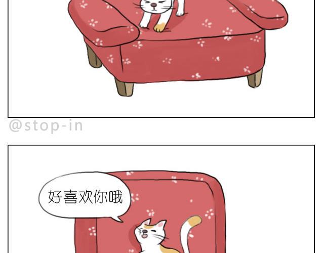 我喜欢你呀13