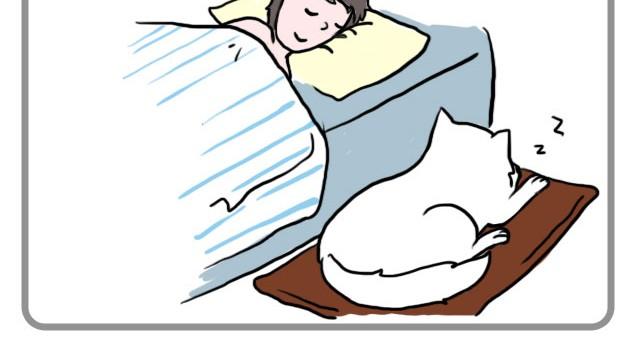 不要怕哦，我陪你7