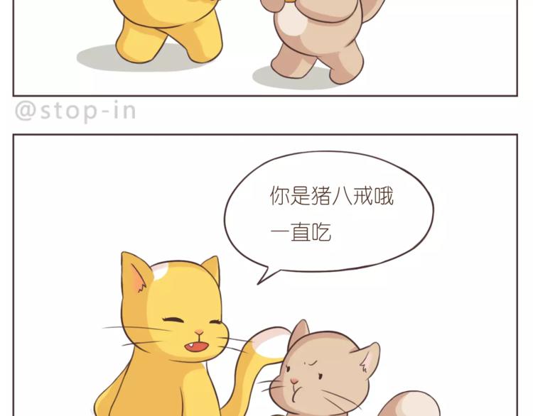 第168话 家人是重要的一部分1