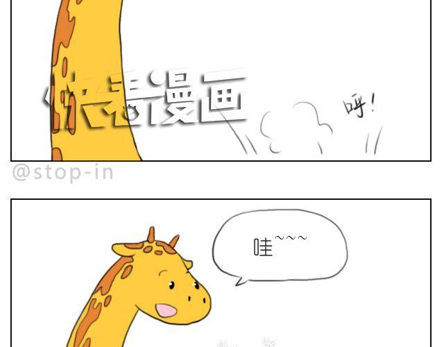脸红的苹果13