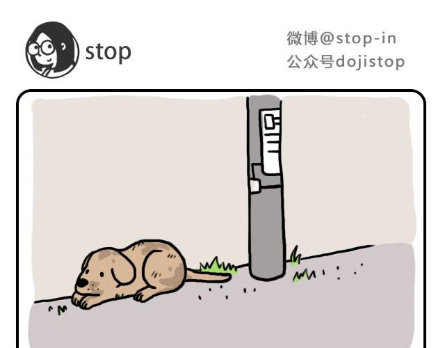单身狗保护协会0
