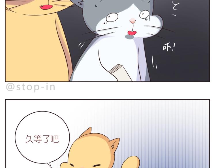 第245话 喜欢才会撩13