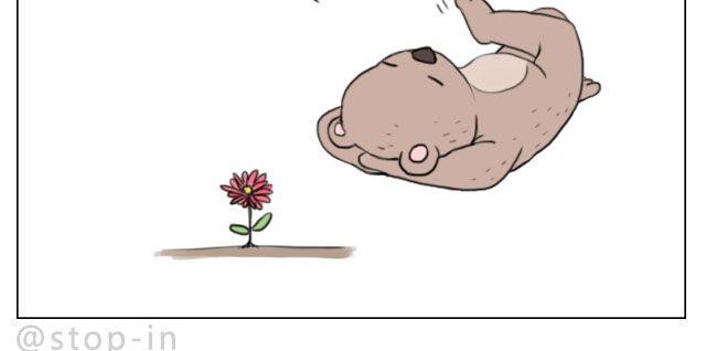 脸红的苹果19