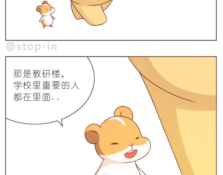第221话 幸福的重量6