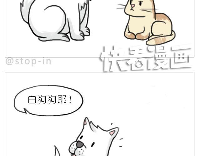 我最害怕的是再也找不到你了12