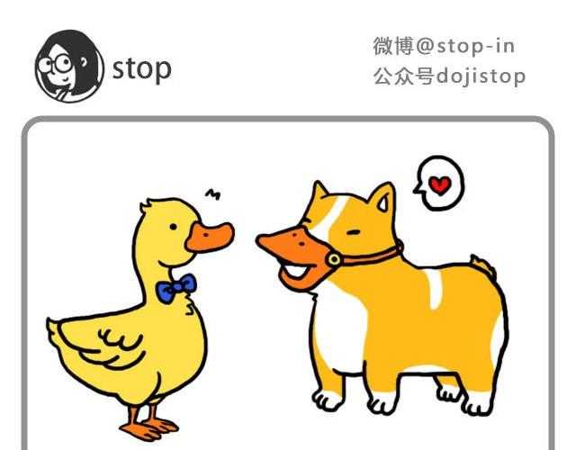 爱你自己本来的样子0