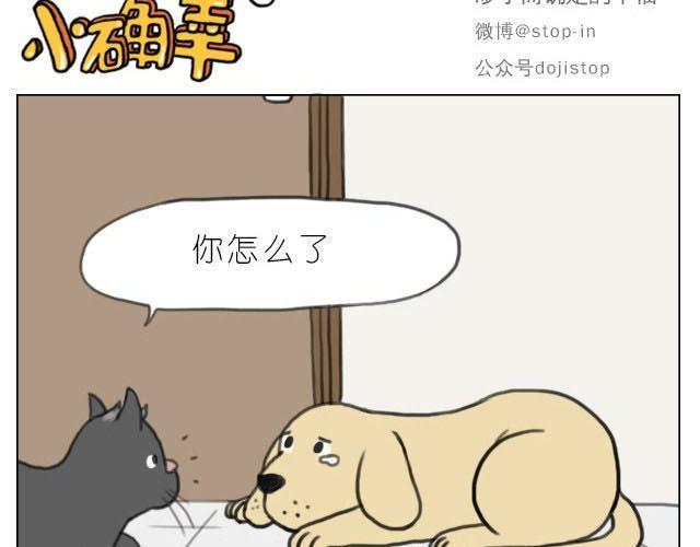在他回来之前我陪你14