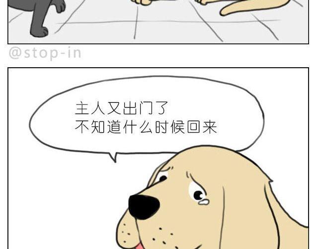 在他回来之前我陪你15
